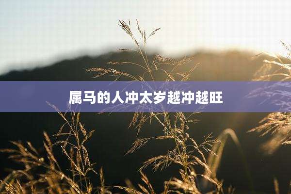 属马的人冲太岁越冲越旺