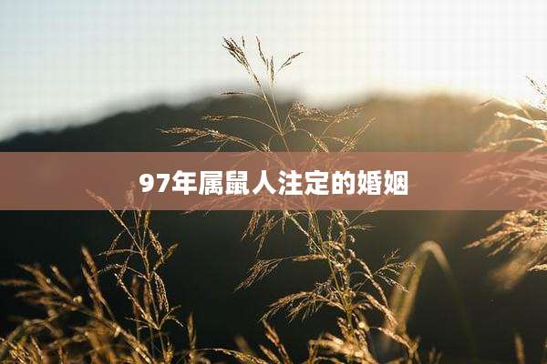 97年属鼠人注定的婚姻