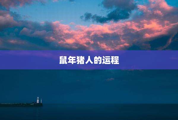 鼠年猪人的运程