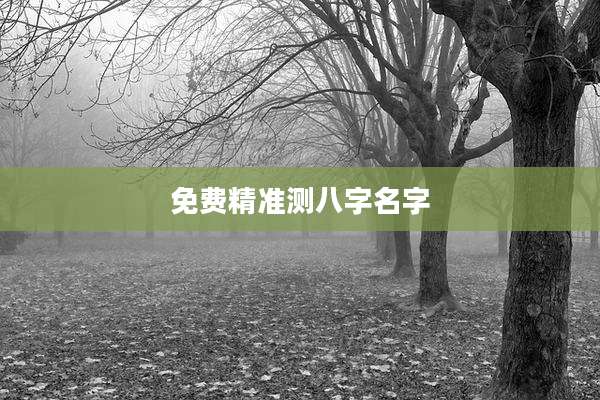 免费精准测八字名字