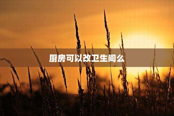 厨房可以改卫生间么