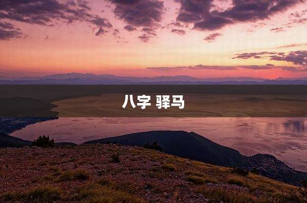八字 驿马