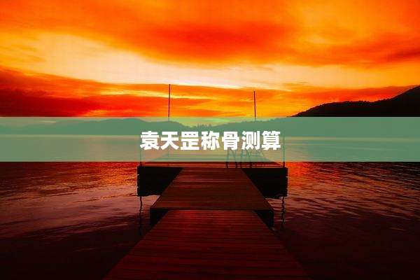 袁天罡称骨测算