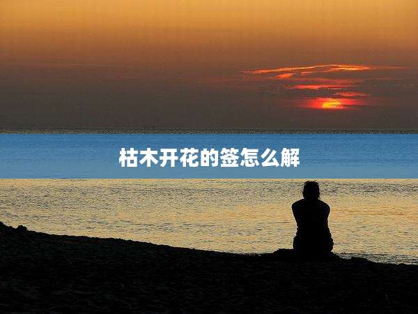 枯木开花的签怎么解