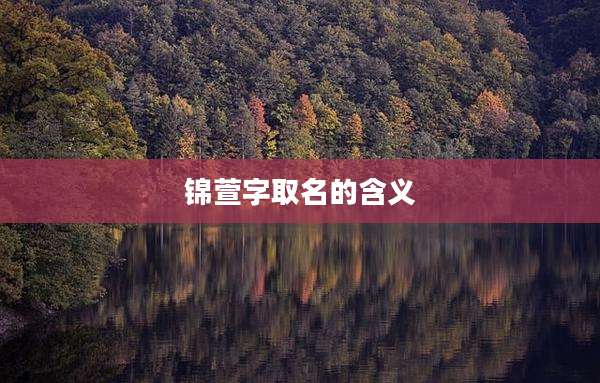 锦萱字取名的含义