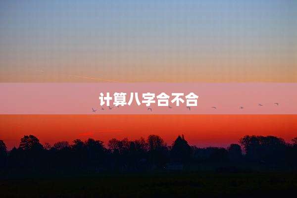计算八字合不合