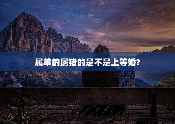 属羊的属猪的是不是上等婚?