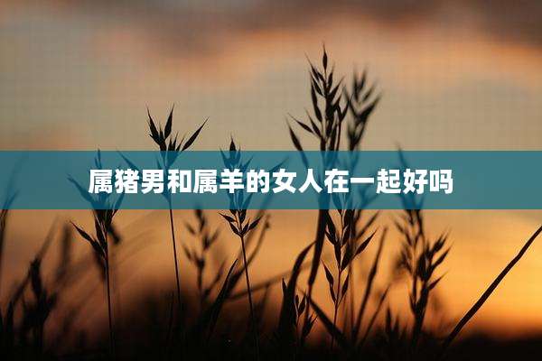属猪男和属羊的女人在一起好吗
