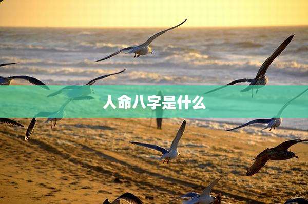人命八字是什么