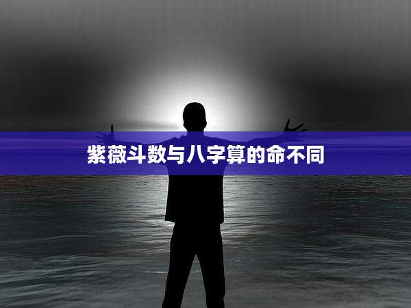紫薇斗数与八字算的命不同