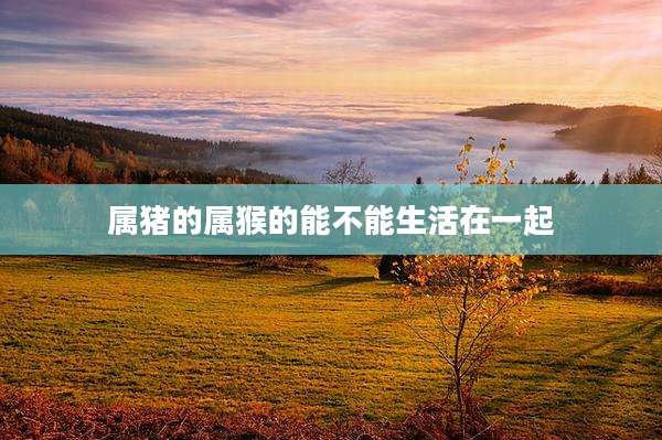 属猪的属猴的能不能生活在一起