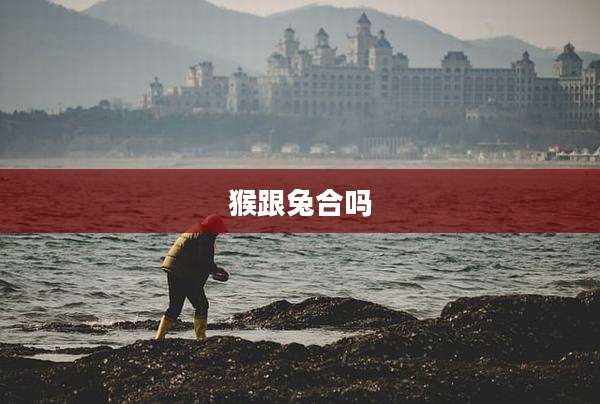 猴跟兔合吗