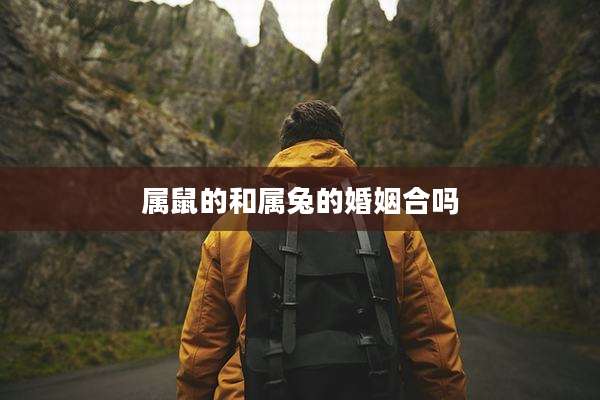 属鼠的和属兔的婚姻合吗