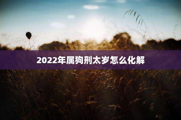 2022年属狗刑太岁怎么化解