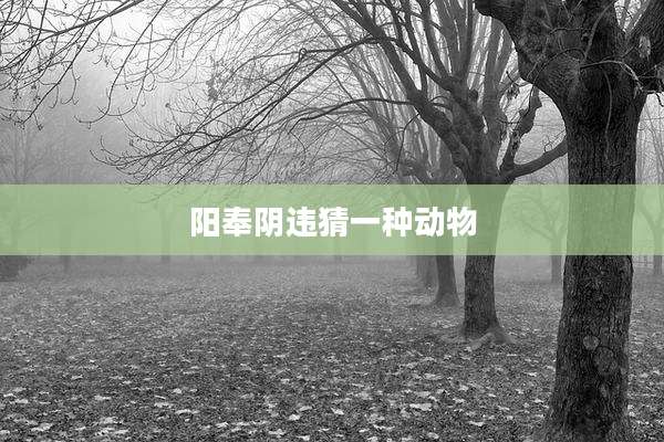 阳奉阴违猜一种动物