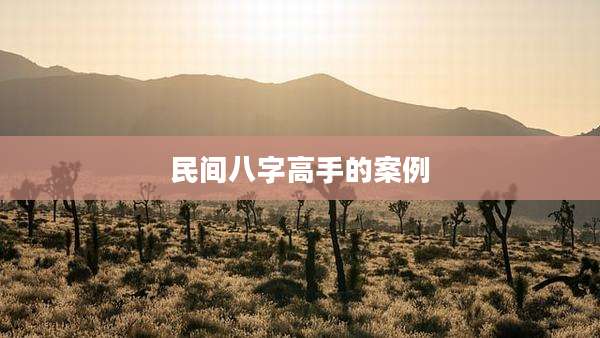 民间八字高手的案例