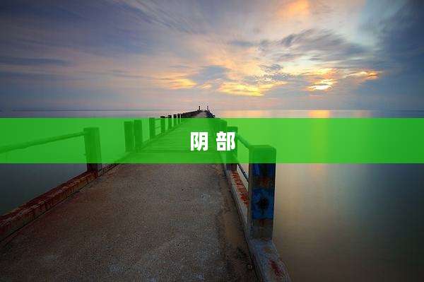 阴 部