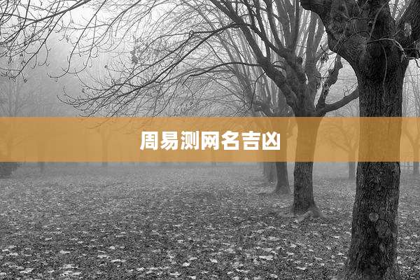 周易测网名吉凶