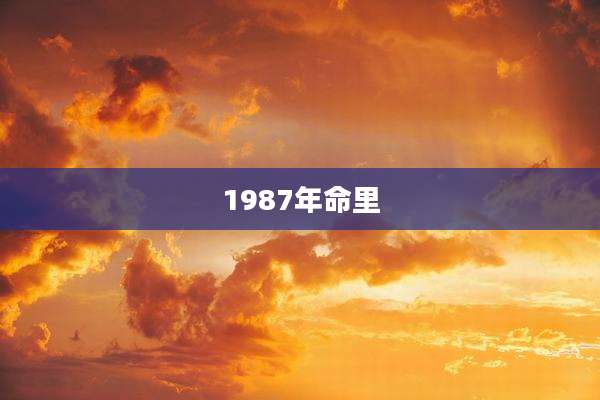 1987年命里