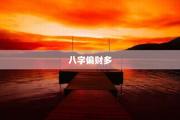 八字偏财多