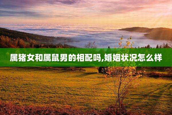 属猪女和属鼠男的相配吗,婚姻状况怎么样