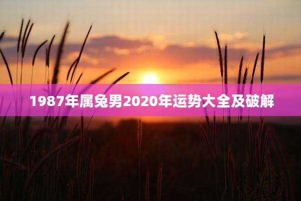 1987年属兔男2020年运势大全及破解