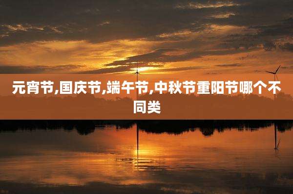 元宵节,国庆节,端午节,中秋节重阳节哪个不同类