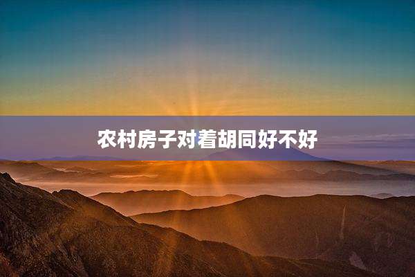 农村房子对着胡同好不好