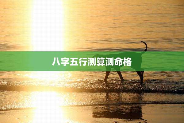 八字五行测算测命格