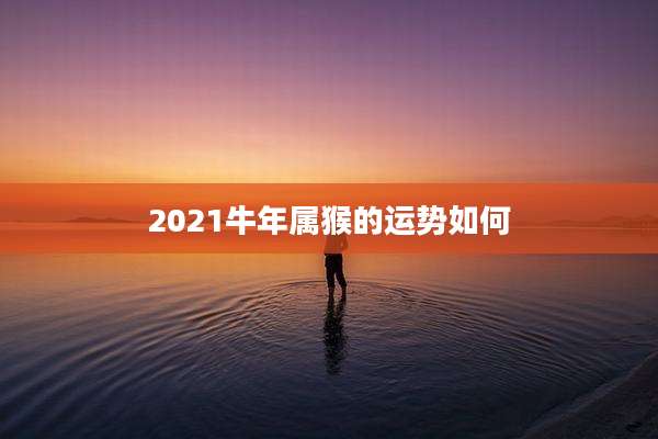 2021牛年属猴的运势如何