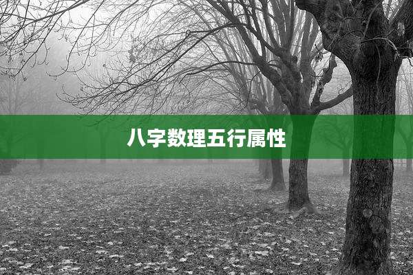 八字数理五行属性