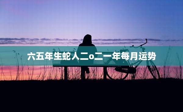 六五年生蛇人二o二一年每月运势