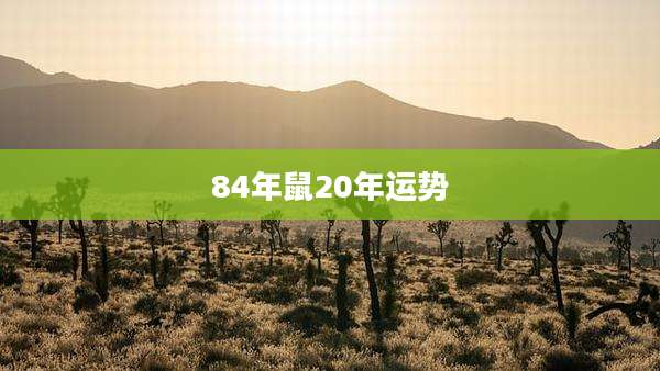 84年鼠20年运势