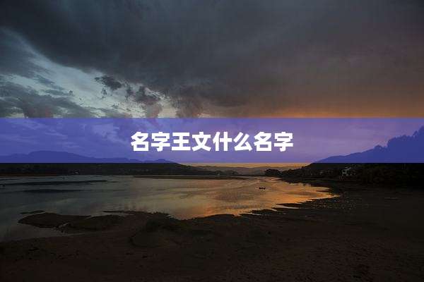 名字王文什么名字