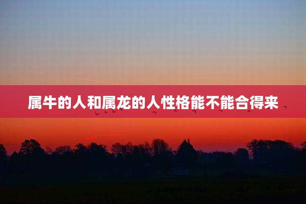 属牛的人和属龙的人性格能不能合得来