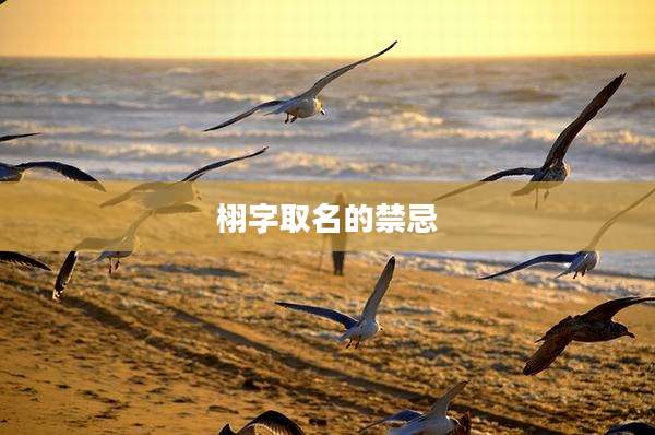 栩字取名的禁忌