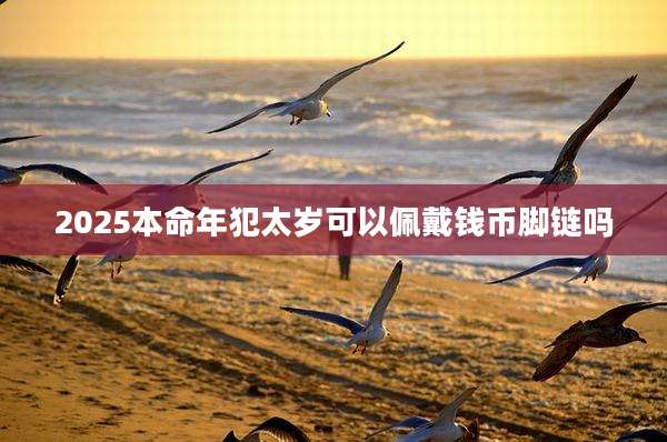2025本命年犯太岁可以佩戴钱币脚链吗