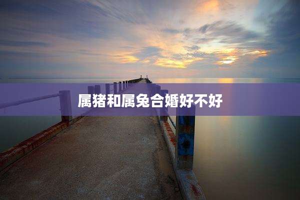 属猪和属兔合婚好不好