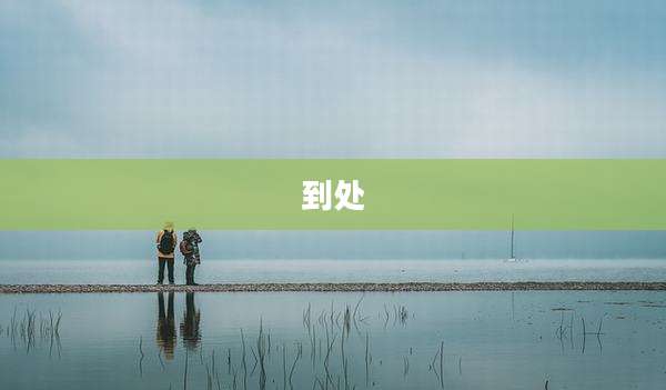 到处