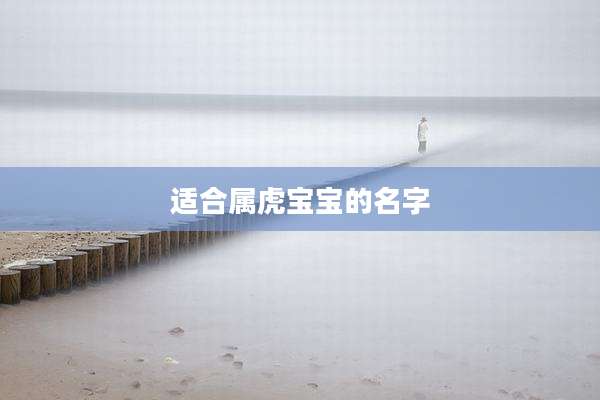适合属虎宝宝的名字