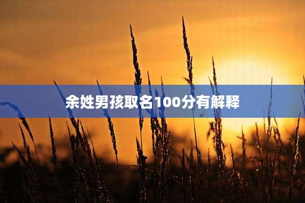 余姓男孩取名100分有解释
