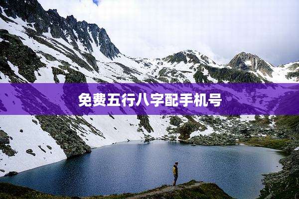 免费五行八字配手机号