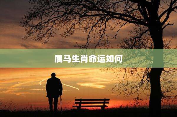 属马生肖命运如何