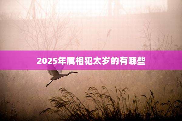 2025年属相犯太岁的有哪些
