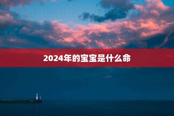 2024年的宝宝是什么命