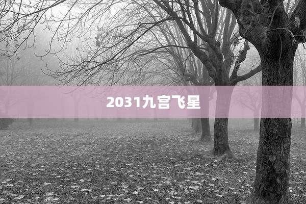 2031九宫飞星