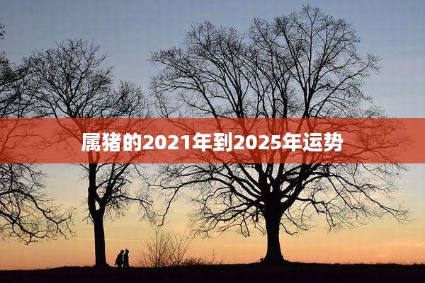 属猪的2021年到2025年运势