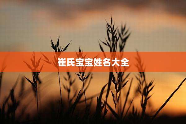 崔氏宝宝姓名大全