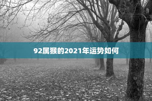 92属猴的2021年运势如何
