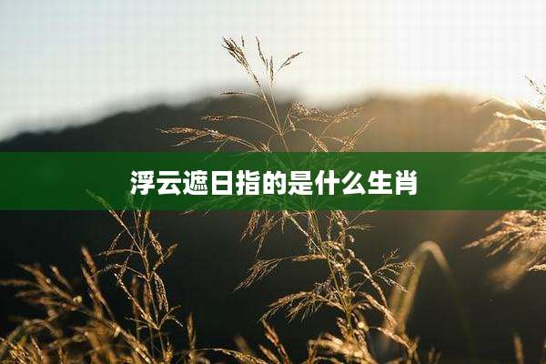浮云遮日指的是什么生肖